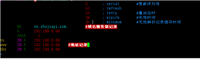bind搭建智能DNS DNS 第4张