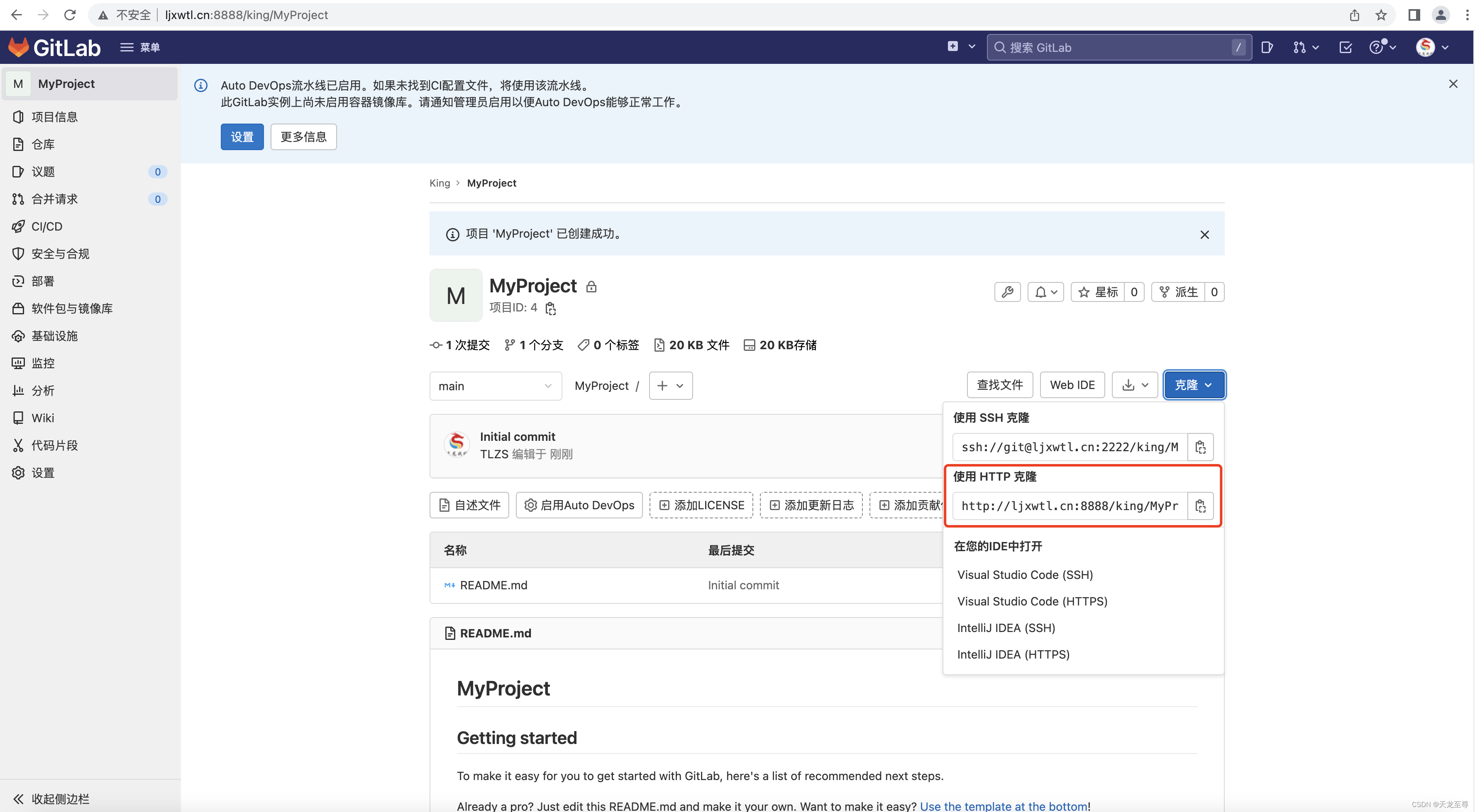 使用Docker Compose搭建GitLab的CI/CD集成化部署环境以及使用 gitlab 第22张
