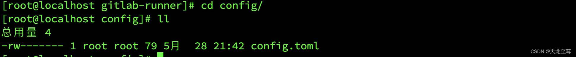 使用Docker Compose搭建GitLab的CI/CD集成化部署环境以及使用 gitlab 第31张