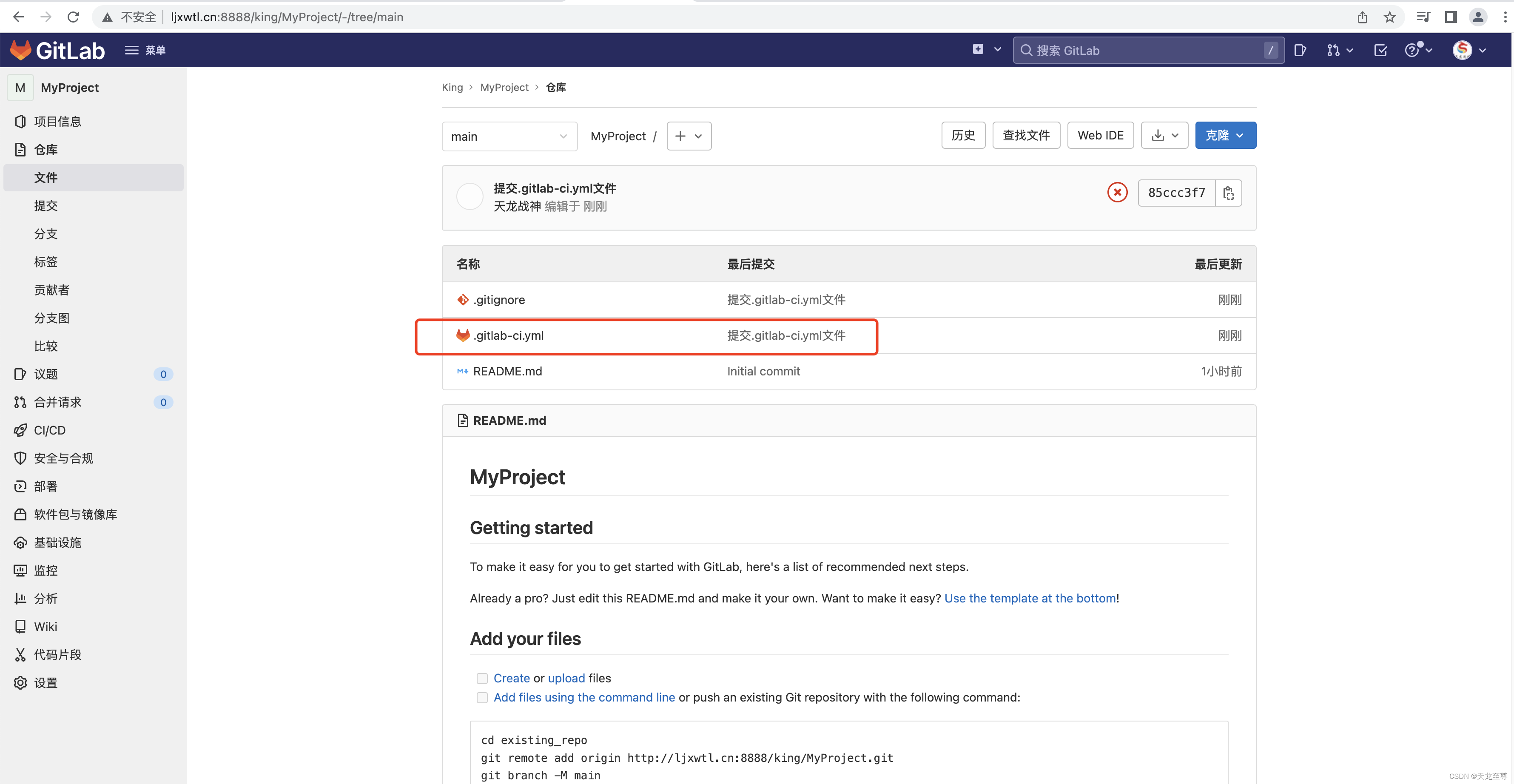 使用Docker Compose搭建GitLab的CI/CD集成化部署环境以及使用 gitlab 第38张