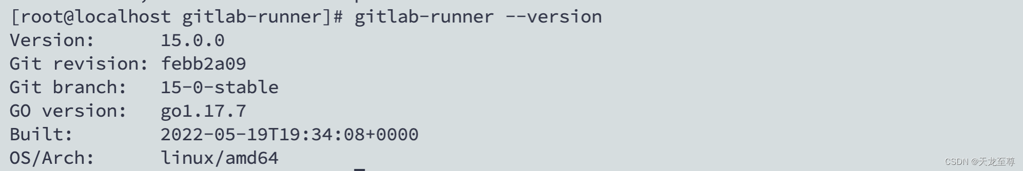 使用Docker Compose搭建GitLab的CI/CD集成化部署环境以及使用 gitlab 第2张