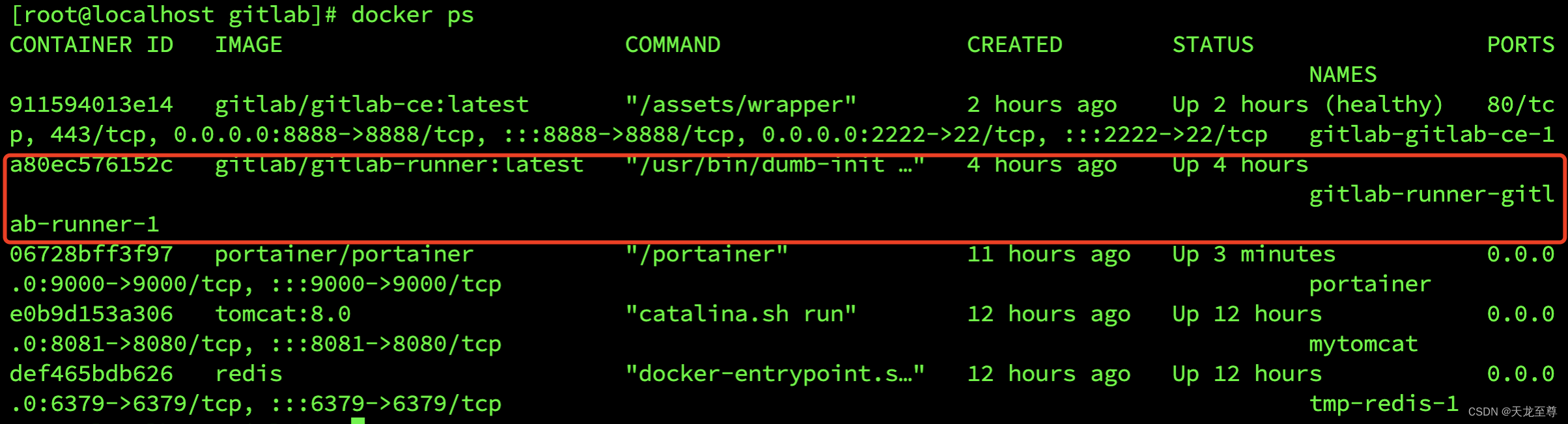 使用Docker Compose搭建GitLab的CI/CD集成化部署环境以及使用 gitlab 第27张