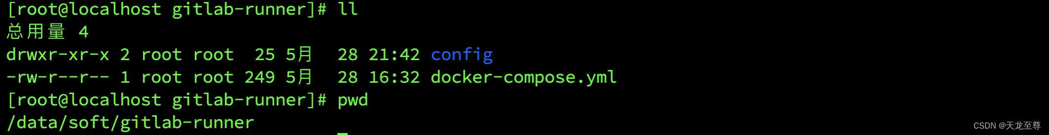 使用Docker Compose搭建GitLab的CI/CD集成化部署环境以及使用 gitlab 第30张