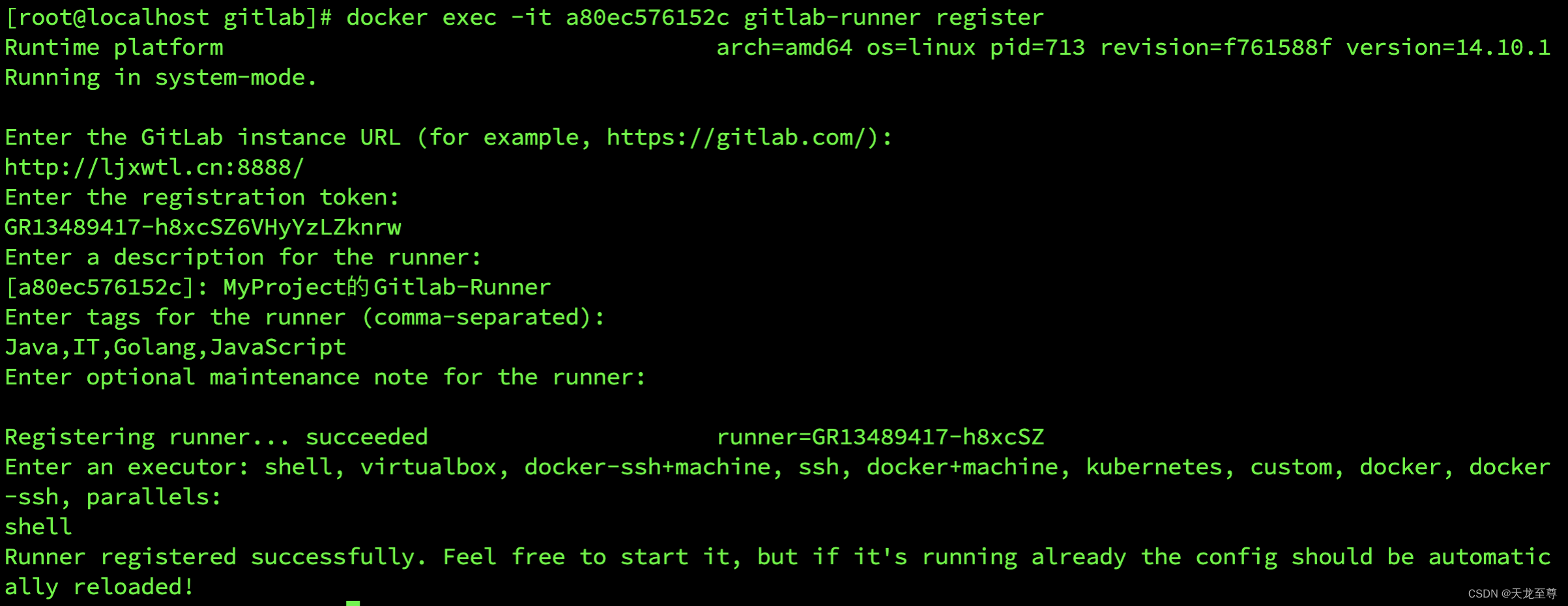 使用Docker Compose搭建GitLab的CI/CD集成化部署环境以及使用 gitlab 第28张